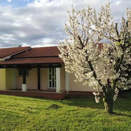 Lavanda 1 By Interhome Porec
